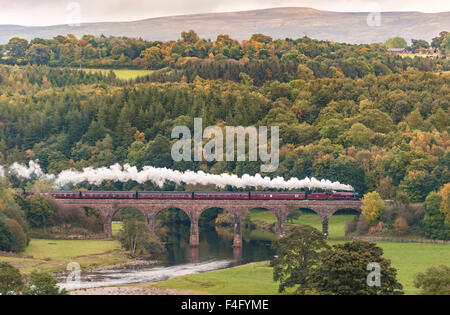 Cumbria, UK. 17. Oktober 2015. Der Cumbrian Mountain Express dampft durch die Herbst-Farben des Eden Valley Kreuzung Eden Lacy Viadukt in Cumbria entlang der weltberühmten an Carlisle Bahnstrecke zu begleichen. Der Zug geschleppt durch LMS Jubilee Klasse Lok 45699 Galatea ist das letzte Jahreszeiten Dampf Ausflüge entlang der Linie gezogen: 17. Oktober 2015 Credit: STUART WALKER/Alamy Live News Stockfoto