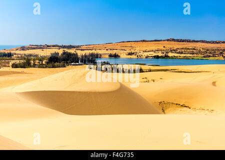 Schöne Sanddünen im Bau Trang Resort, Phan Thiet, Vietnam Stockfoto