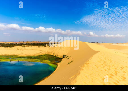 Schöne Sanddünen im Bau Trang Resort, Phan Thiet, Vietnam Stockfoto