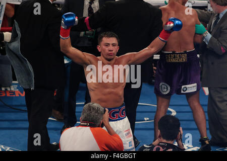 New York, New York, USA. 17. Oktober 2015. GENNADY GOLOVKIN (weiße Stämme) und DAVID LEMIEUX Schlacht in einem Mittelgewichts-Welt-Meisterschaft Titel Titelvereinigung im Madison Square Garden in New York City, New York. © Joel Plummer/ZUMA Draht/Alamy Live-Nachrichten Stockfoto