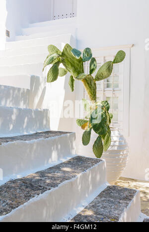Detail von einem weiß getünchten Haus auf der Hydra-Insel in Griechenland Stockfoto