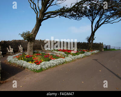 Cliff Top öffentlichen Gärten, Clevedon, Somerset, Großbritannien Stockfoto