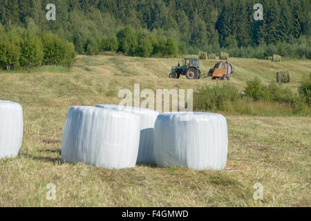 Runde Heuballen in Plastik wickeln Abdeckung Stockfoto