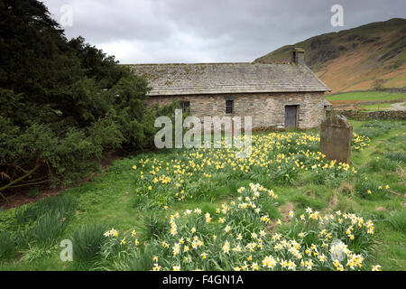 Frühling, die alte Pfarrkirche St. Martin, Martindale Valley, Lake District Nationalpark, Grafschaft Cumbria, England, UK. Stockfoto