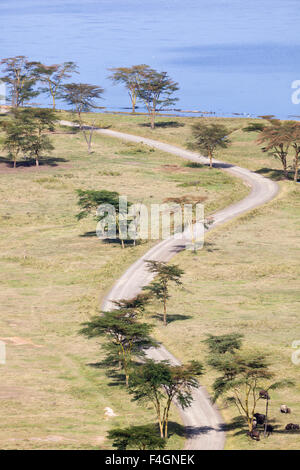 Büffel und Straße am Lake Nakuru in Nakuru Nationalpark von einem Aussichtspunkt in Kenia gesehen. Stockfoto