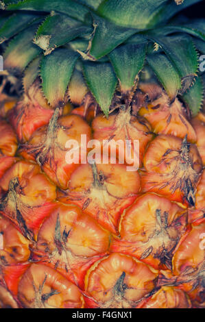 Detail der reife Ananas Hautstruktur - abstrakten Essen Hintergrund hautnah Stockfoto