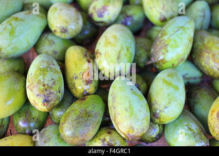 Mango-Frucht-Shop in Sri Lanka Stockfoto