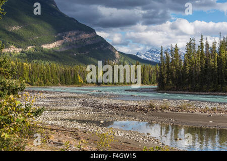 Zeigen Sie am Athabasca River, am Athabasca Falls, auf dem Icefields Parkway im Jasper-Nationalpark, Rocky Mountains, Alberta, Kanada an. Stockfoto