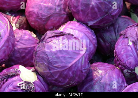 Frischer Kohl zum Verkauf bereit Stockfoto