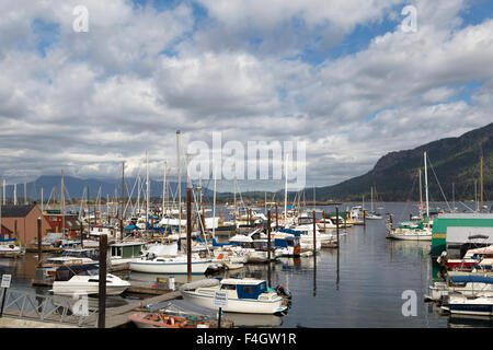 Marina in dem Dorf an der Küste von Cowichan Bay, Vancouver Island, British Columbia, Kanada, Nordamerika. Stockfoto