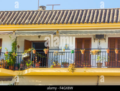 Typische Fenster mit Gitter und dekorative Blumen in der Stadt Córdoba, Spanien Stockfoto