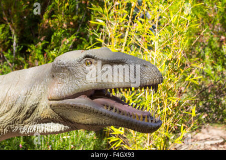 furchterregende Fleischfresser Dinosaurier Tyrannosaurus Rex Stockfoto
