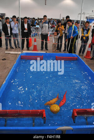 Guiyang, China Provinz Guizhou. 18. Oktober 2015. Fisch-förmigen Roboter konkurrieren in einem Wasser-Kugel-Spiel während der 2015 RoboCup-Finale in Guiyang, Hauptstadt der Südwesten Chinas Provinz Guizhou, 18. Oktober 2015. Die zweitägige RoboCup Finale startete hier Sonntag. Etwa 400 Teams aus mehr als 300 Hochschulen auf der ganzen Nation teilnehmen an diesem Roboterwettbewerb. © Huang Yong/Xinhua/Alamy Live-Nachrichten Stockfoto