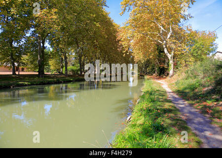 Canal du Midi, Carcassonne, Aude, Languedoc Roussillon, Frankreich. Stockfoto