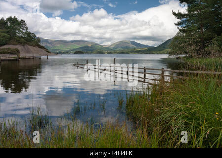 Überflutet Zaun und Reflexionen, Derwent Water in Richtung Blencathra in der Nähe von Keswick im Lake District, Cumbria, England, Grossbritannien Suche Stockfoto