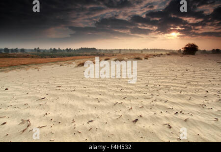 Sonnenaufgang-Balken über Sanddüne, Niederlande Stockfoto