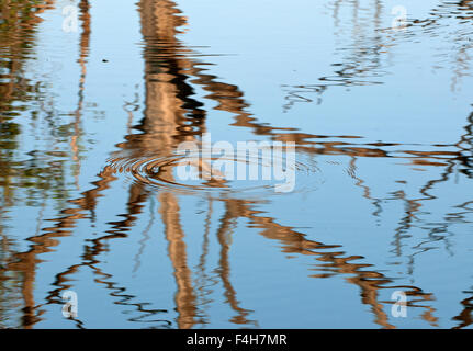 Das Bild aufgenommen in Pench Nationalpark, Indien Stockfoto