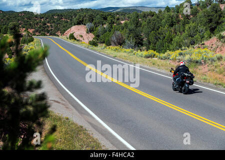 Motorradfahrer auf asphaltierten Straße; Nord zentral Colorado; USA Stockfoto