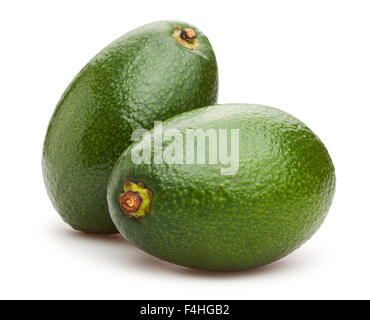 Avocado, isoliert Stockfoto