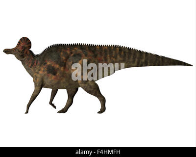Corythosaurus ist ein Pflanzenfresser Ente-billed Dinosaurier, der während der Kreidezeit in Nordamerika lebte. Stockfoto