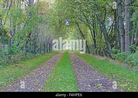 Blick entlang des Speyside Methode in der Nähe von Grantown-on-Spey, Morayshire, Schottland. Stockfoto