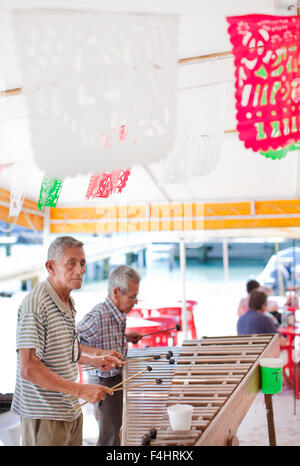 Man spielt Xylophon bei Minino, unter freiem Himmel, Zelt-Stil-Meeresfrüchte-Restaurant in der Nähe der Docks von Isla Mujeres, Mexiko Stockfoto