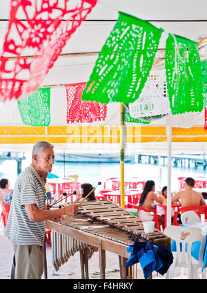 Man spielt Xylophon bei Minino, unter freiem Himmel, Zelt-Stil-Meeresfrüchte-Restaurant in der Nähe der Docks von Isla Mujeres, Mexiko Stockfoto