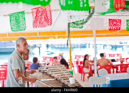 Man spielt Xylophon bei Minino, unter freiem Himmel, Zelt-Stil-Meeresfrüchte-Restaurant in der Nähe der Docks von Isla Mujeres, Mexiko Stockfoto