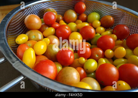 Bunte Tomaten in verschiedenen Formen und Größen Stockfoto