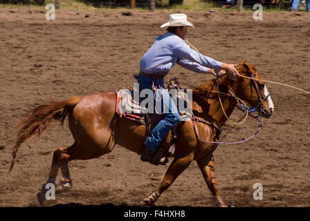 Ketsch-Umm Kalf Rodeo, Glenwood, Washington Stockfoto