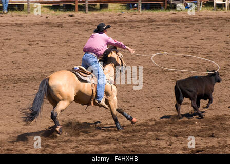 Ketsch-Umm Kalf Rodeo, Glenwood, Washington Stockfoto