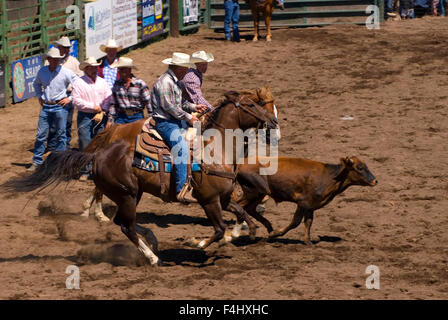 Ketsch-Umm Kalf Rodeo, Glenwood, Washington Stockfoto