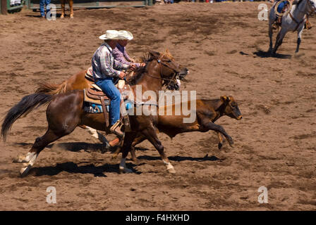 Ketsch-Umm Kalf Rodeo, Glenwood, Washington Stockfoto