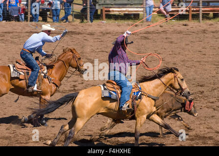 Ketsch-Umm Kalf Rodeo, Glenwood, Washington Stockfoto