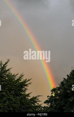 Regenbogen im grauen bewölktem Himmel mit grünen Bäumen im Vordergrund. Stockfoto