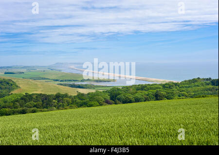 Chesil Beach in Dorset Chesil Bank bezeichnet ist einer der drei großen Schindel Strukturen in Großbritannien. Stockfoto