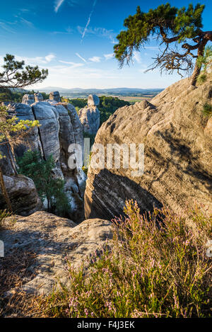 Panoramablick auf Sandstein Felsen in Cesky Raj, Tschechische Paradies, Hruboskalsko, Tschechische Republik Stockfoto