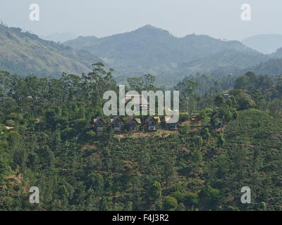 Berg-Landschaft und Teeplantagen rund um Ella, im Hochland von Sri Lanka, Asien Stockfoto