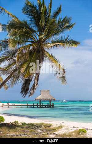 Holzsteg mit strohgedeckten Hütte, Playa Blanca, Punta Cana, Dominikanische Republik, West Indies, Karibik, Mittelamerika Stockfoto