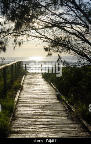 Holzsteg zum Strand, Surfers Paradise, Queensland, Australien Stockfoto