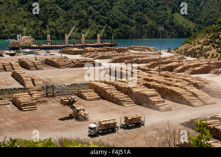 Holz-Port, Okiwa Bay, Marlborough Sounds, Südinsel, Neuseeland, Pazifik Stockfoto