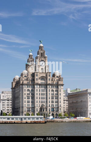 Das Royal Liver Building vom Mersey, UNESCO-Weltkulturerbe, Liverpool, Merseyside, England, Vereinigtes Königreich, Europa Stockfoto