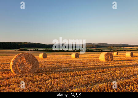 Heuballen bei Sonnenuntergang, schwäbischen Alb, Baden-Württemberg, Deutschland, Europa Stockfoto