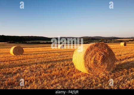 Heuballen bei Sonnenuntergang, schwäbischen Alb, Baden-Württemberg, Deutschland, Europa Stockfoto