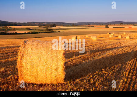 Heuballen bei Sonnenuntergang, schwäbischen Alb, Baden-Württemberg, Deutschland, Europa Stockfoto