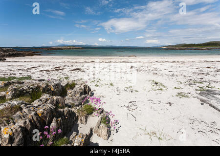 Silver Sands von Morar, Highlands, Schottland, Vereinigtes Königreich, Europa Stockfoto