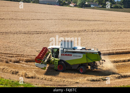 Mähdrescher und Traktor Ernte ein Weizenfeld in der Nähe von Low Newton am Meer, Northumberland Stockfoto