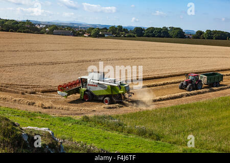 Mähdrescher und Traktor Ernte ein Weizenfeld in der Nähe von Low Newton am Meer, Northumberland Stockfoto