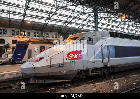 Ein TGV und ein Nahverkehrszug TER erwarten Abreise am Bahnhof Tours, Indre et Loire, Frankreich, Europa Stockfoto