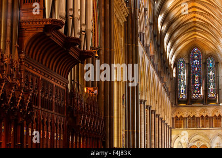 Das prächtige Schiff der Kathedrale von Salisbury, Salisbury, Wiltshire, England, Vereinigtes Königreich, Europa Stockfoto